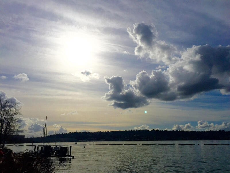 Coulon Park On Lake Washington