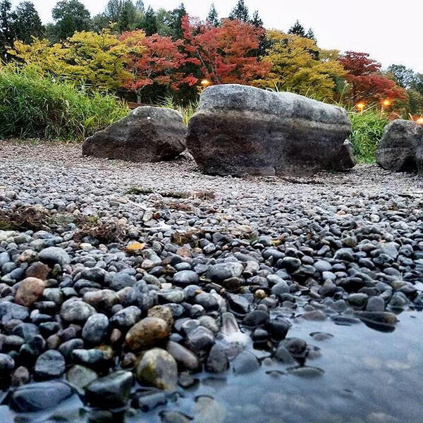 Rocky Shore
