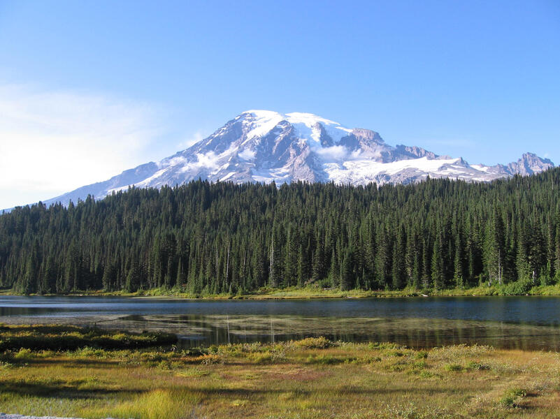 Mt. Rainier