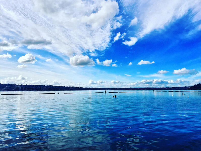 Coulon Park On Lake Washington