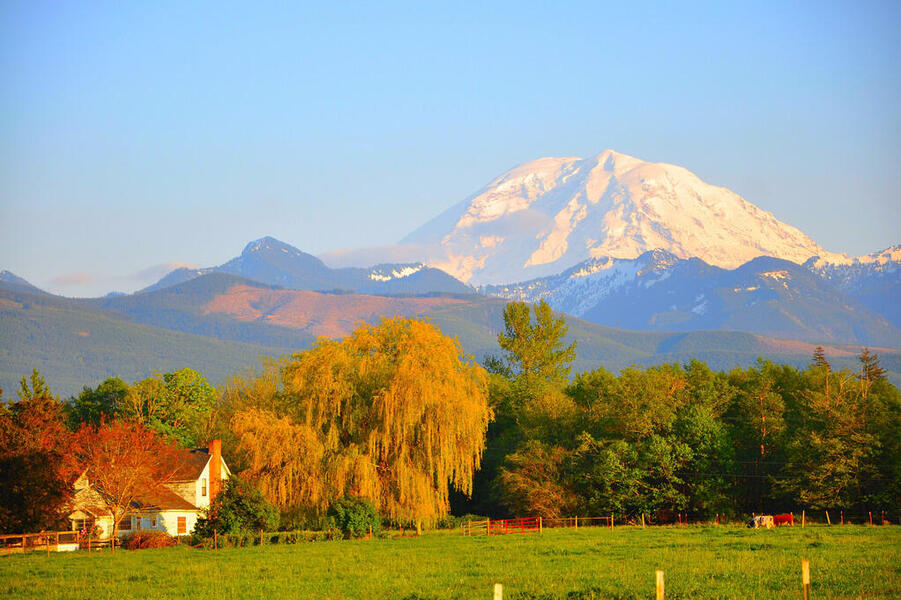 Mt. Rainier
